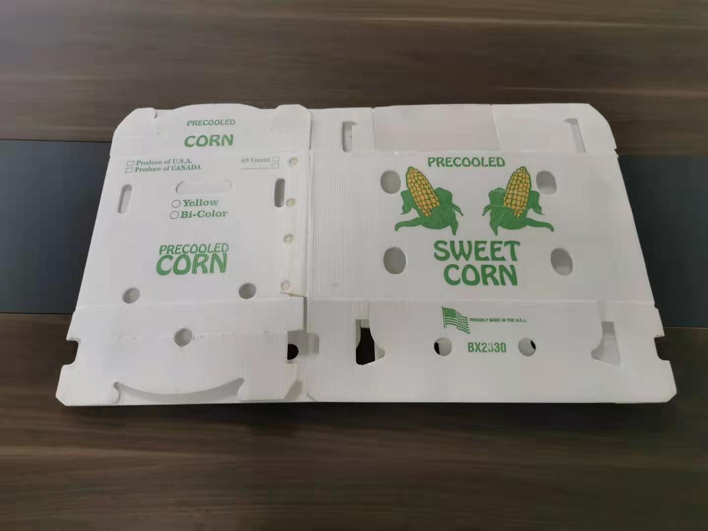 装蔬菜水果的塑料中空板箱