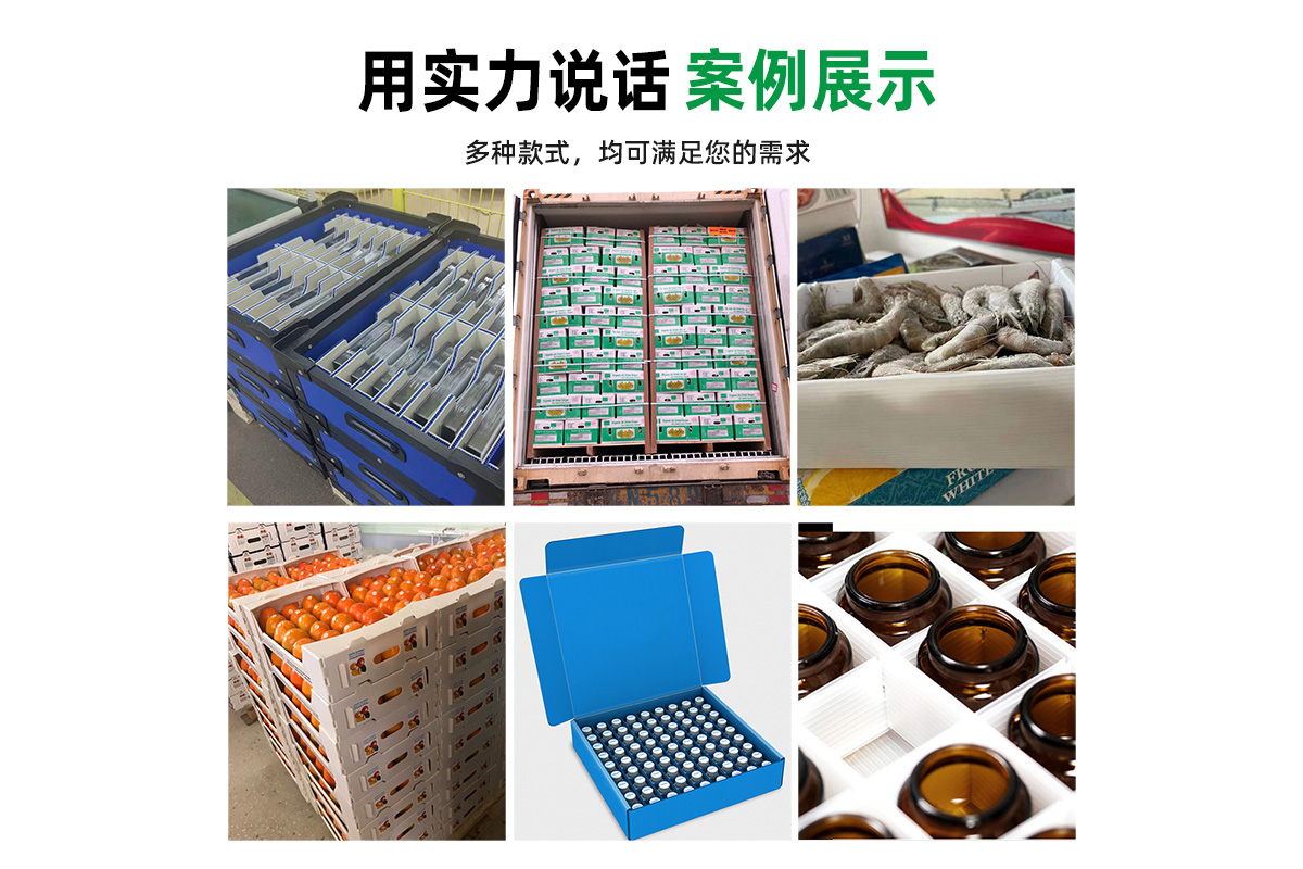冷链中空板箱 可下冷库 医药可用